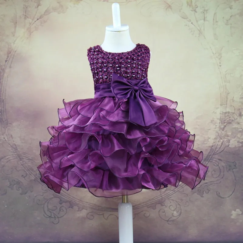 Embroidered Princess Dress