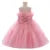 Elegant Mesh Princess Dress